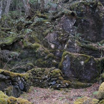 こんなとこに！？
建物あったのか❓