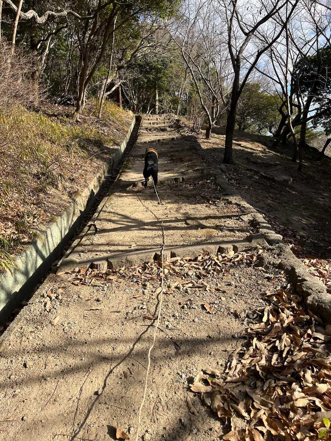 須磨浦公園駅-旗振山-鉄拐山-高倉山 往復コースの写真