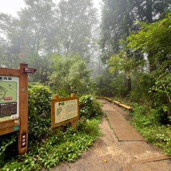 稲荷山コースで下山します❗️