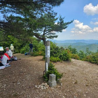すぐに八ヶ峰の山頂に着きました。東に百里ヶ岳が見えました。
あと、きょう初めて山中で人に会いました。