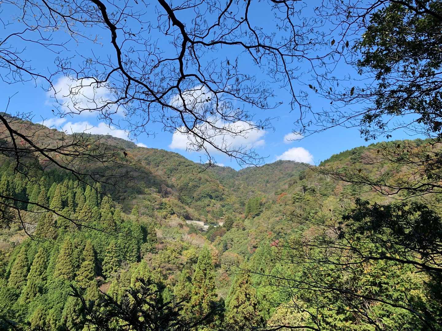 芦屋川駅-雨ヶ峠-六甲山-六甲越-水無山-船坂峠-大谷乗越 縦走コースの写真