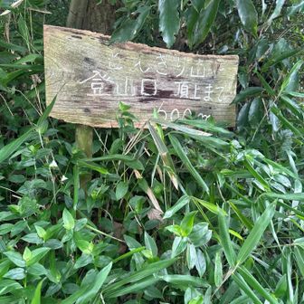 薮の中の看板
