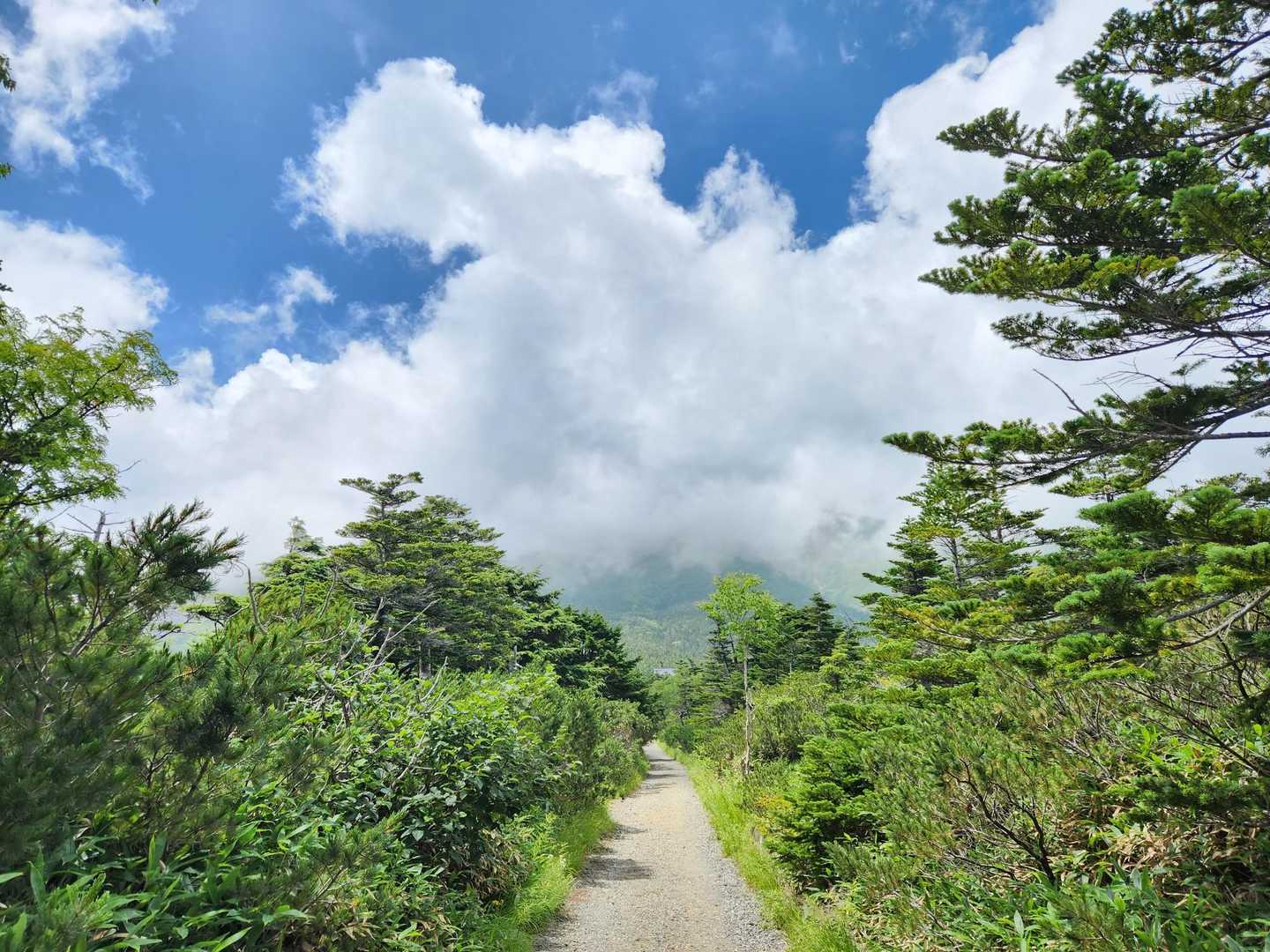 まっすぐ砂利道が続きます。
山頂は雲の中。