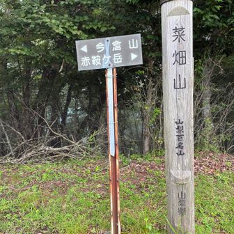 急登ゾーンを越えて、菜畑山（なばたけうら、と読むそうです）に到着しました！