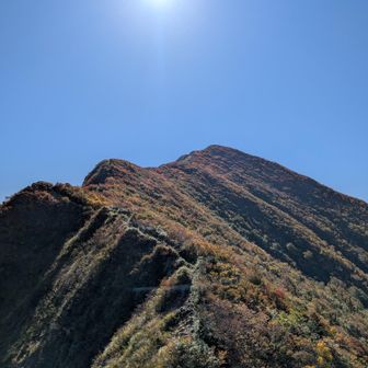 目指す頂はあそこ。この稜線最高でしょ😆