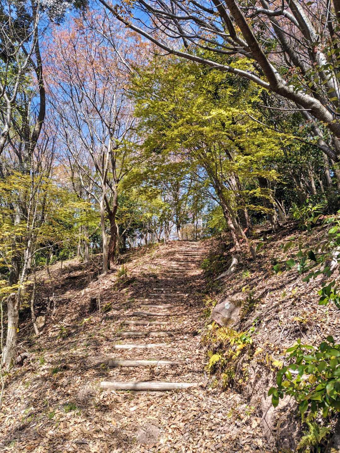 ずっと歩いて〜