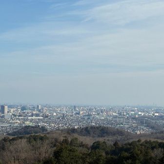 展望台から①
左端のビル群は橋本駅周辺、右は横浜方面