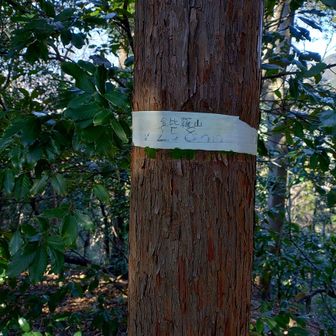 あっ！山頂か。🙌
通過しそうでした。😌

262