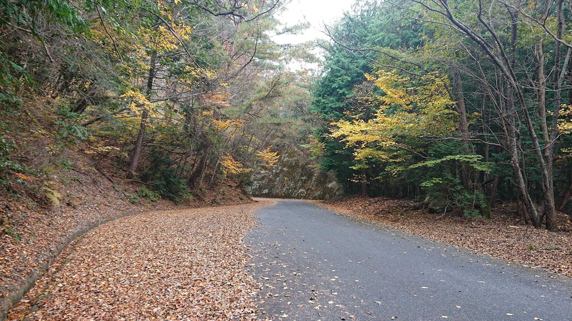 来る時に車で通った道です