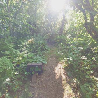 小ポン山山頂らしき行き止まり地点