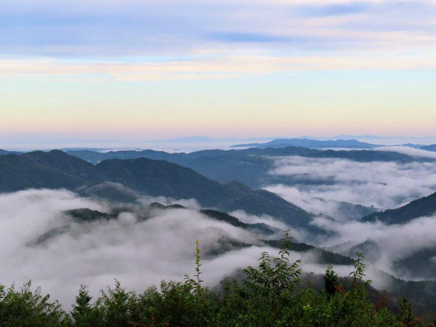 雲海