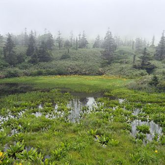 三ツ石山荘のデッキからの景色は、ガスで山は見えず。