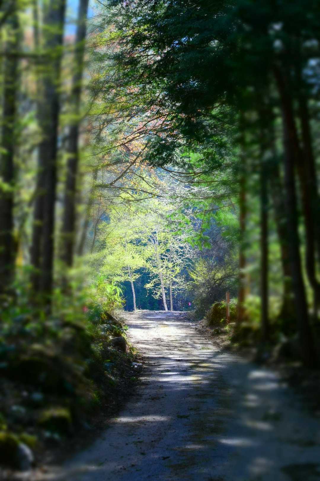 雨引山登山口-雨引山 周回コースの写真