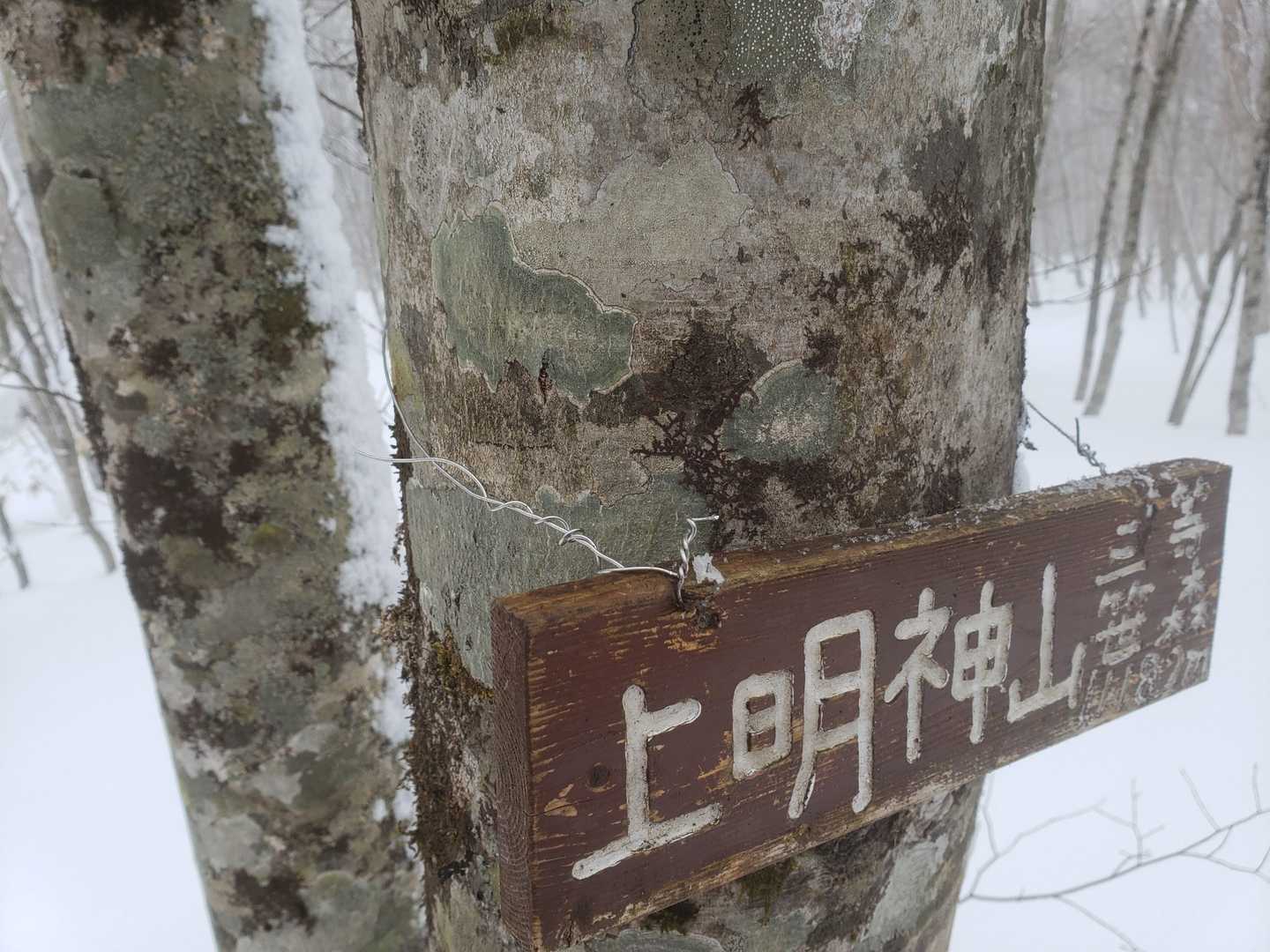 プレートからワイヤーを外して付け替えたかったけど、食い込んで外れなかったので切断して延長。
これでしばらくは大丈夫でしょう😊
プレート設置する人、訪れる人は木が傷まないように手直しできるようにツールを持参しましょうね〜😉
針金とプライヤーはトラブルの際に役立ちます。