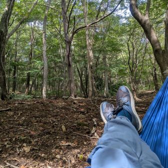 オールブルー(笑)全然意識してません、特別好きなカラーでもないんですけどね(笑)