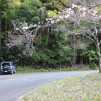 甘木朝倉三井環境そばの
目配山登山口の駐車スペース