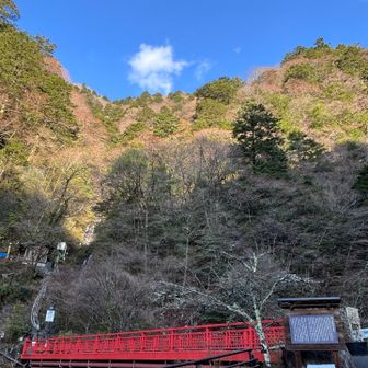 午前中☀️予報
バラの段までの予定のつもりが