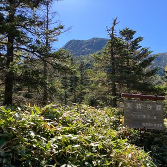 天祥寺原

将軍平の蓼科山荘、雨池、竜源橋を
繋ぐ場所です。開けた場所です。