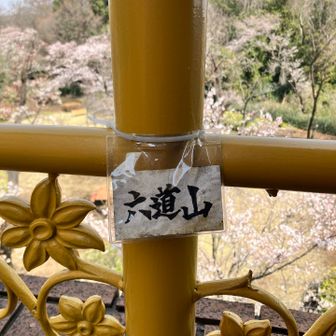 展望台建物の階段途中に山頂名がある
ここなんだ