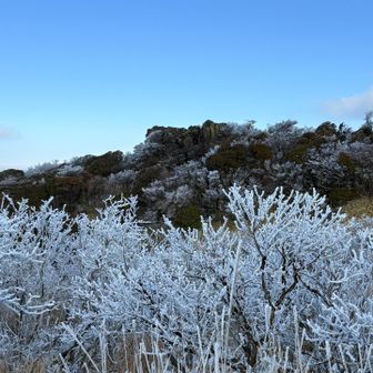 黒岩山の山頂の岩が見える👀