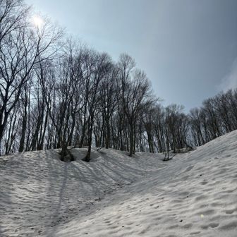 太陽が見えるって
いいね👍