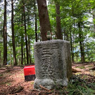 山頂三角点🐸