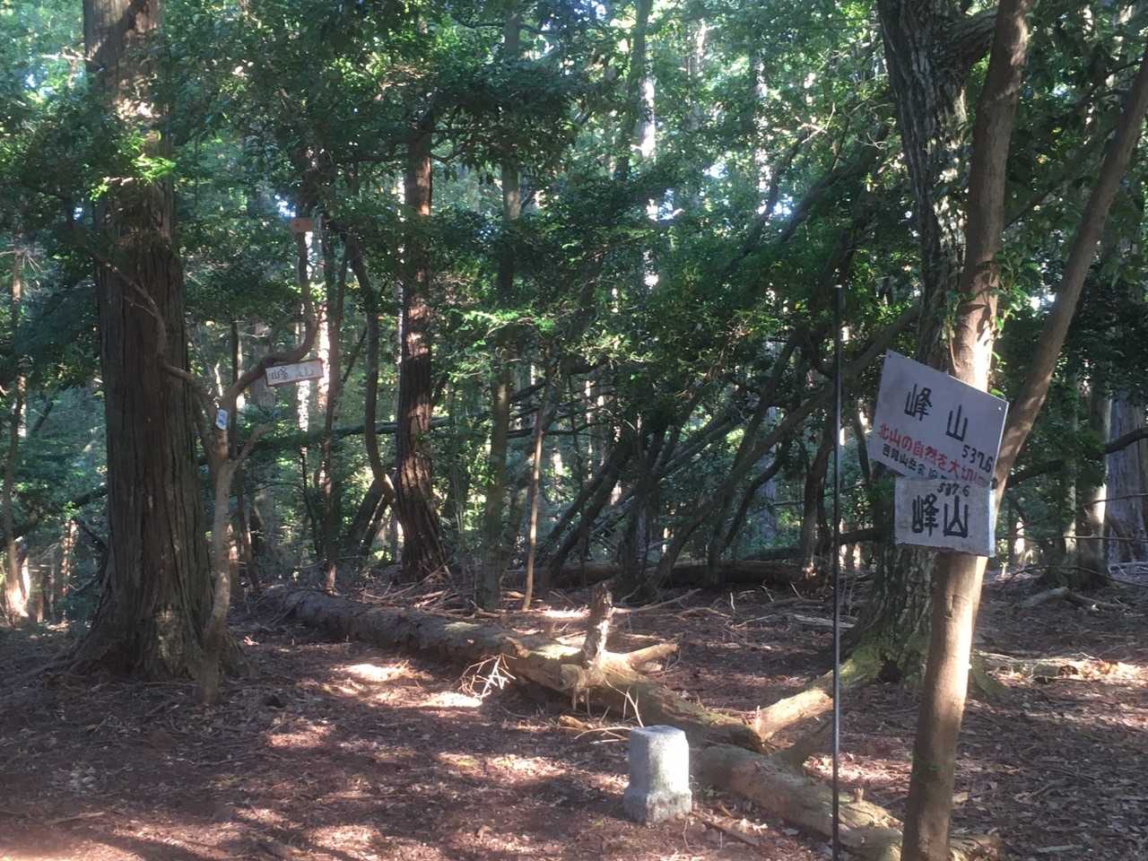 一気に登って峰山🚩、途中で微妙にルートを外しました😅
