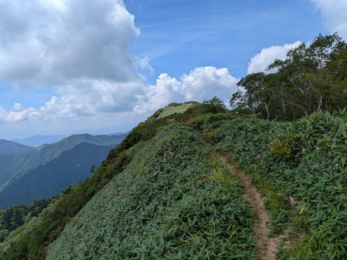 岩黒山-手箱越-手箱山-筒上山 周回コースの写真
