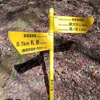 塔ノ岳まで約7km。
バカ尾根と同じ長さ🤔