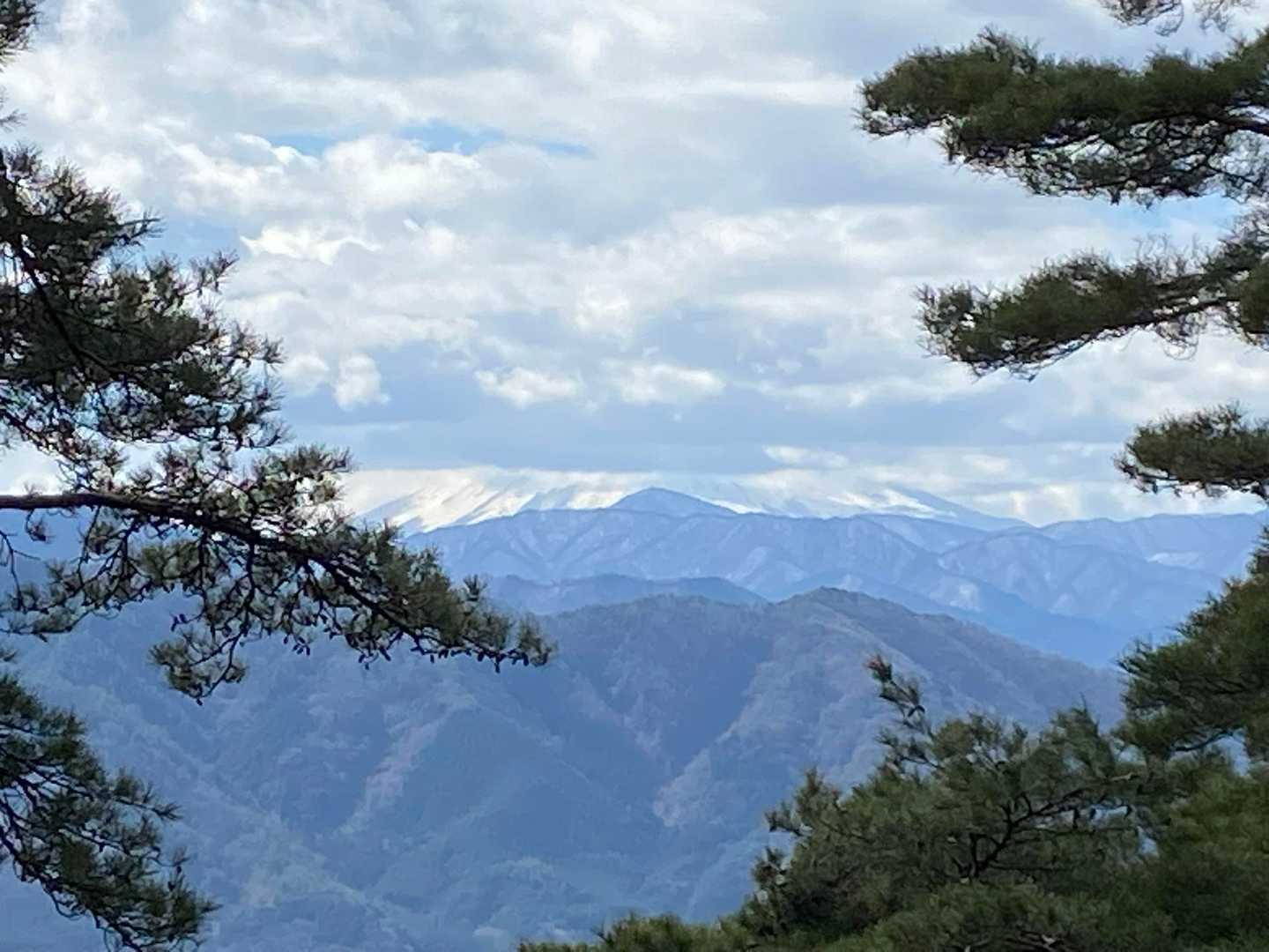 小倉山-上条山-上条峠 周回コースの写真