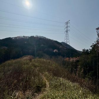 烏岳からの帰り道の風景✨のどかです