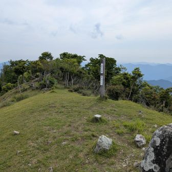こっちは旗立山方面。