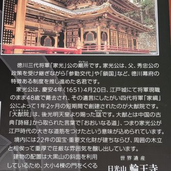 48歳で逝去した
徳川三代将軍家光の廟所