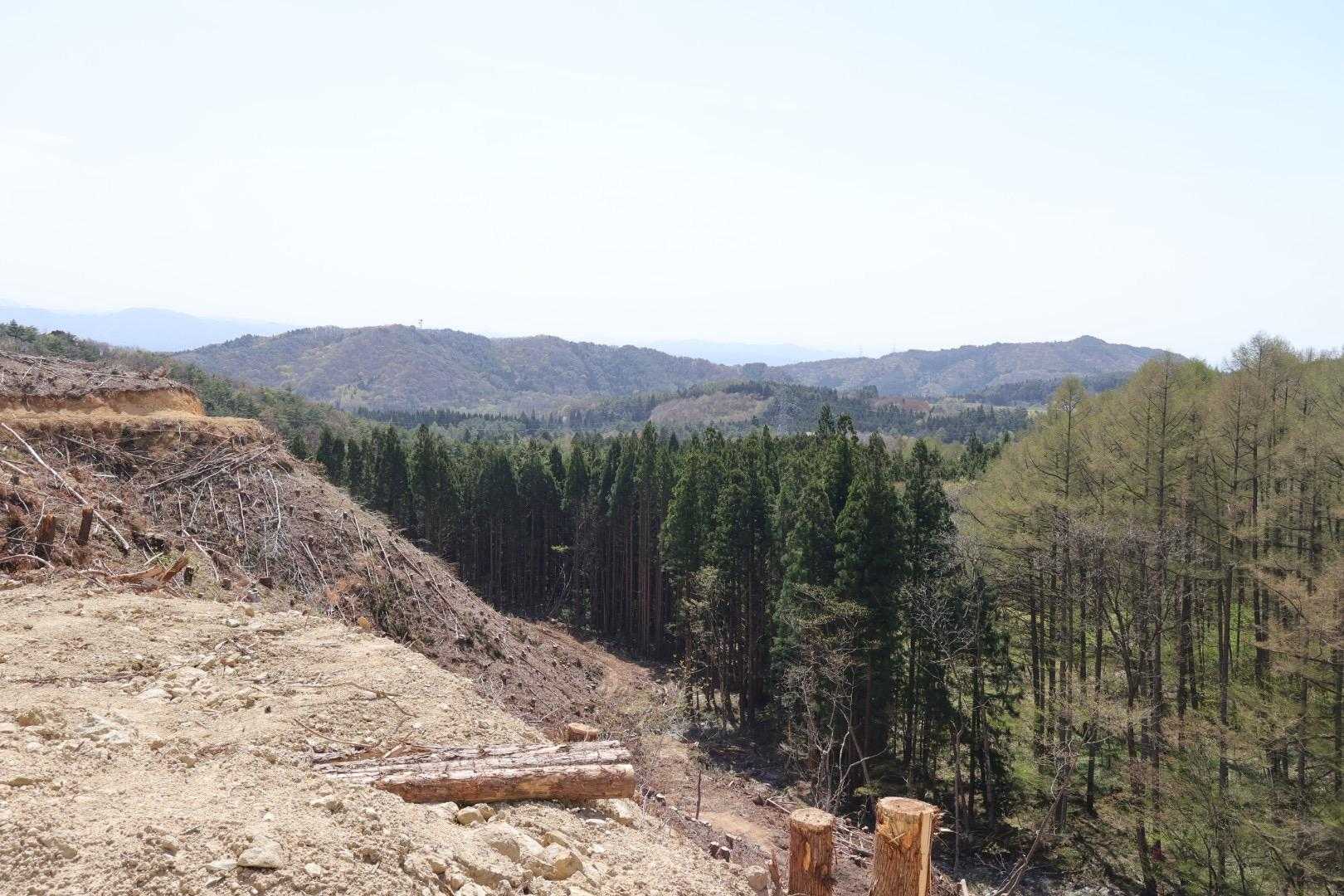 赤林山矢巾温泉登山口-赤林山 往復コースの写真