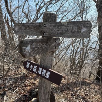 周回ルートで下山開始