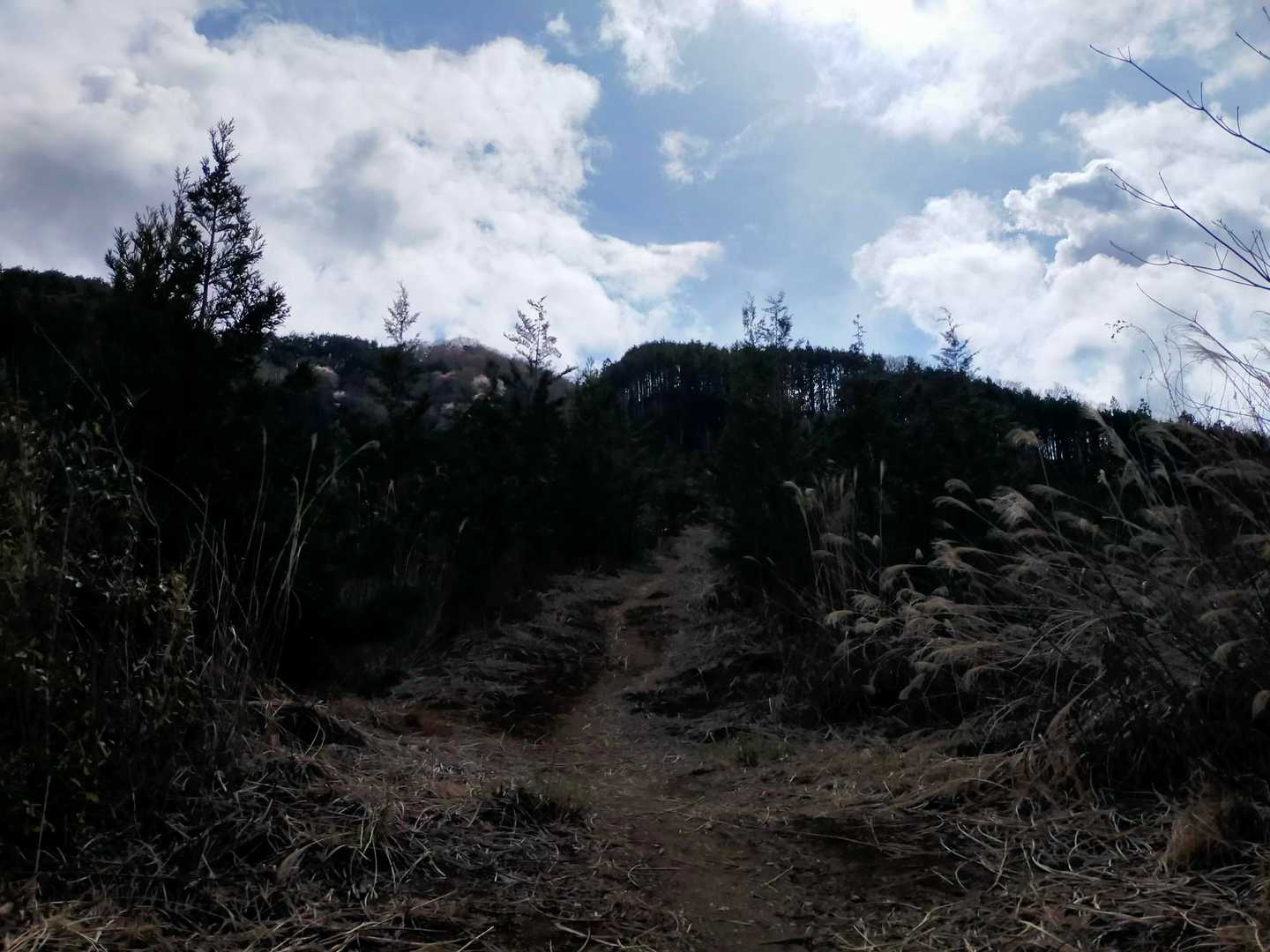 刈払いありがとうございます😊
暗くなってしまったけど💦