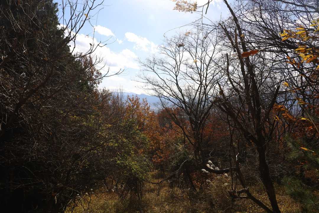 東屋からの展望