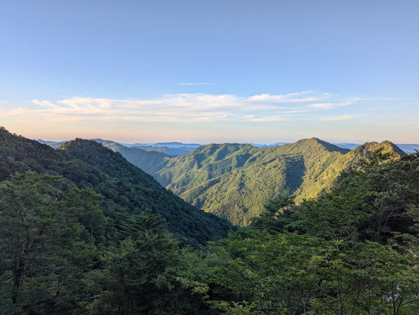 東黒森登山口-伊予富士 往復コースの写真
