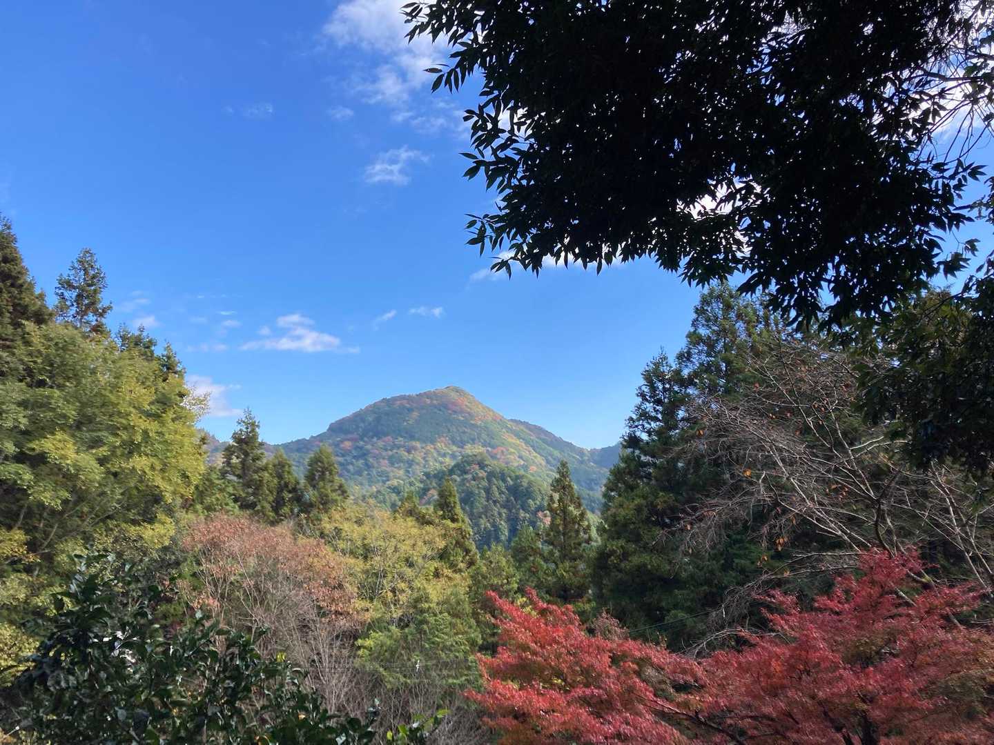 施福寺-槇尾山バス停 縦走コースの写真