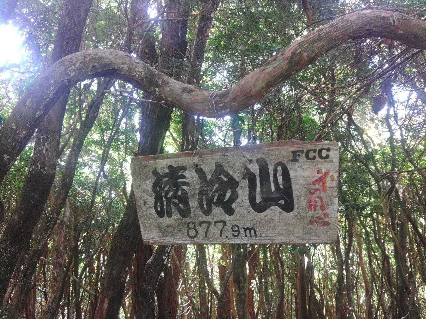 清冷山 878m。
近畿百名山に選定されていますが、分県登山ガイド(和歌山県の山)には掲載されていません。