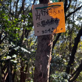 三界坊南峰
プレートは一枚だけ