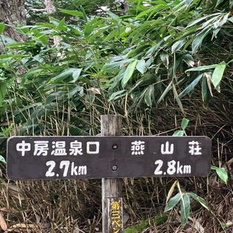 第三ベンチ