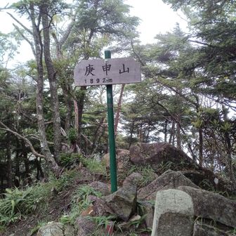 予想だにしていなかった雨の中☂️庚申山到着👣