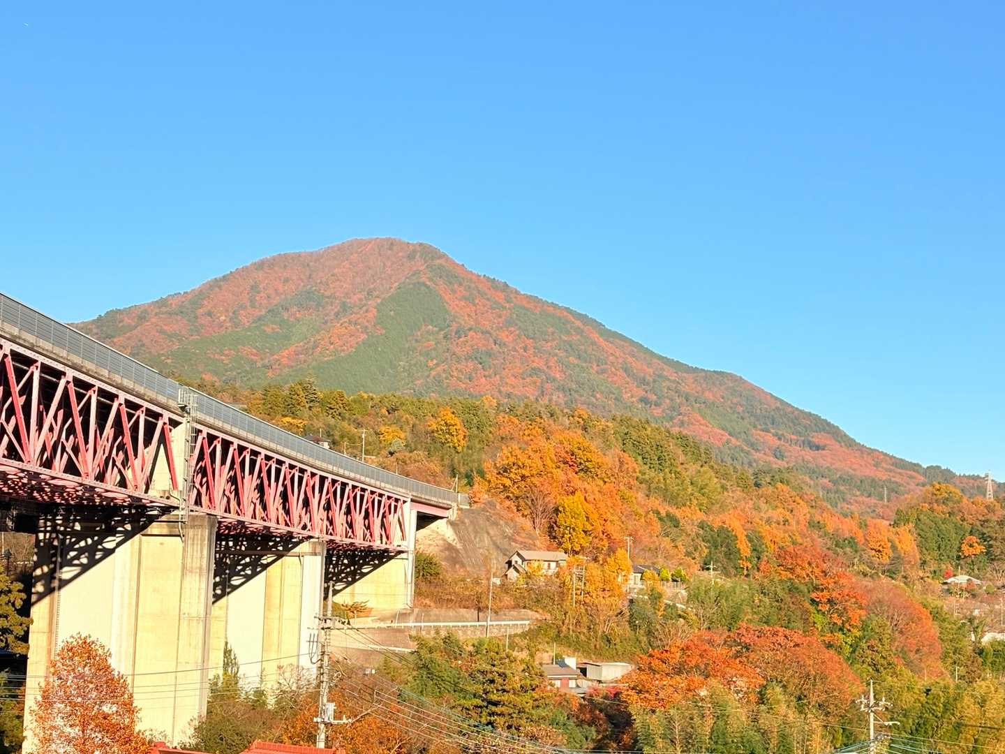 先ほどまでいた扇山