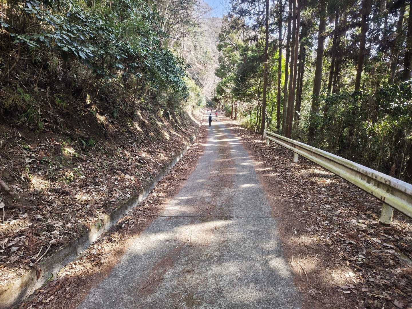 地味にキツい登りがずっと続く
