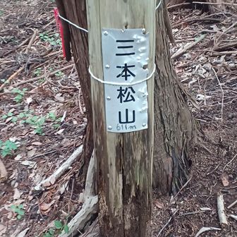 三本松山