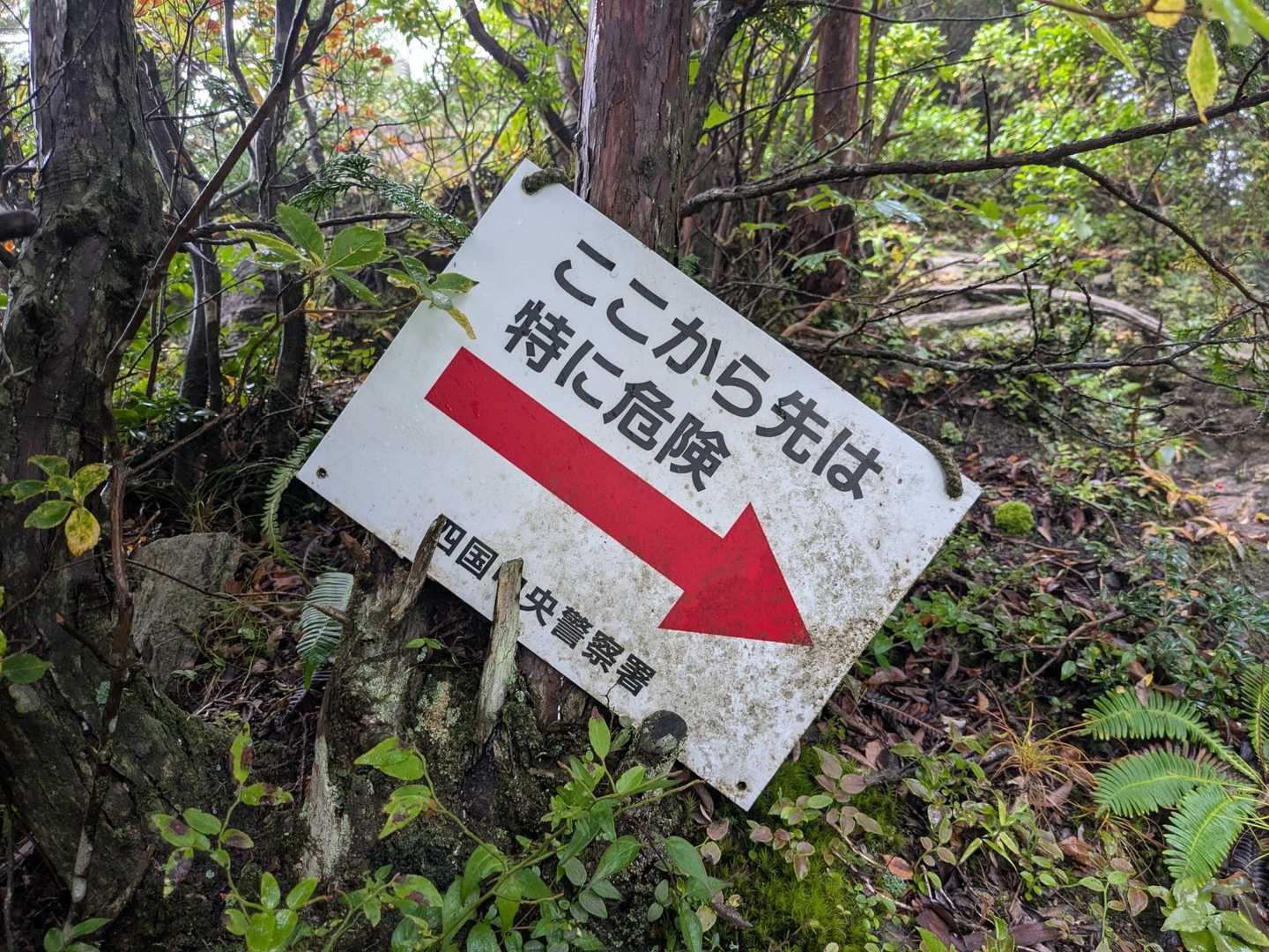 肉淵林道登山口-二ッ岳-エビラ山-黒岳-権現山 縦走コースの写真