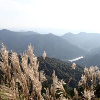 東側の景色、ススキも満開🌾