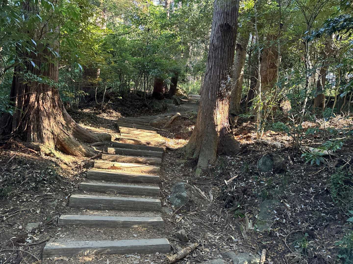 100名山だけあって、整備されてます