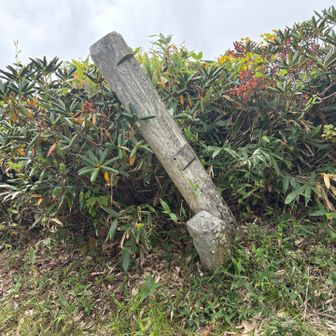 グシガハナ分岐点。